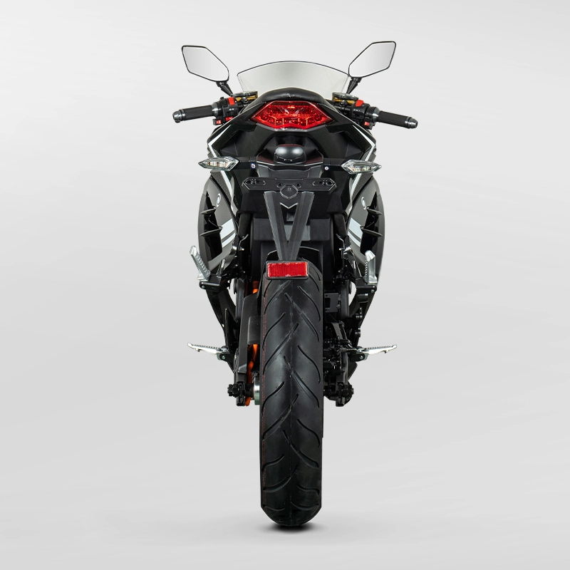 SHILU-SL Electric motorcycle