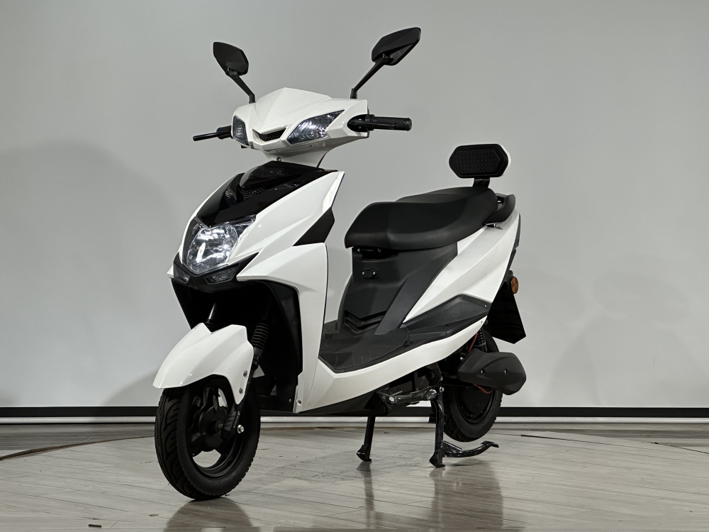 SHILU-ZHG Electric Scooter