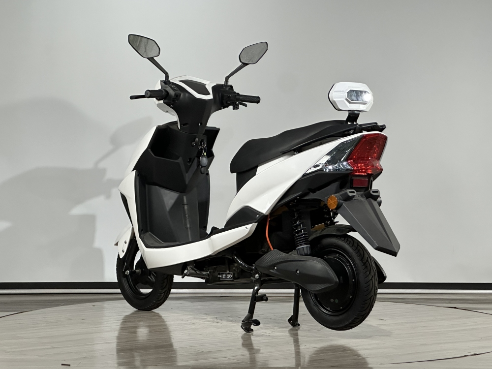 SHILU-ZHG Electric Scooter