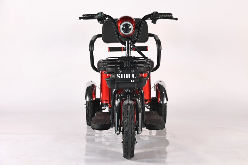 SHILU-LS