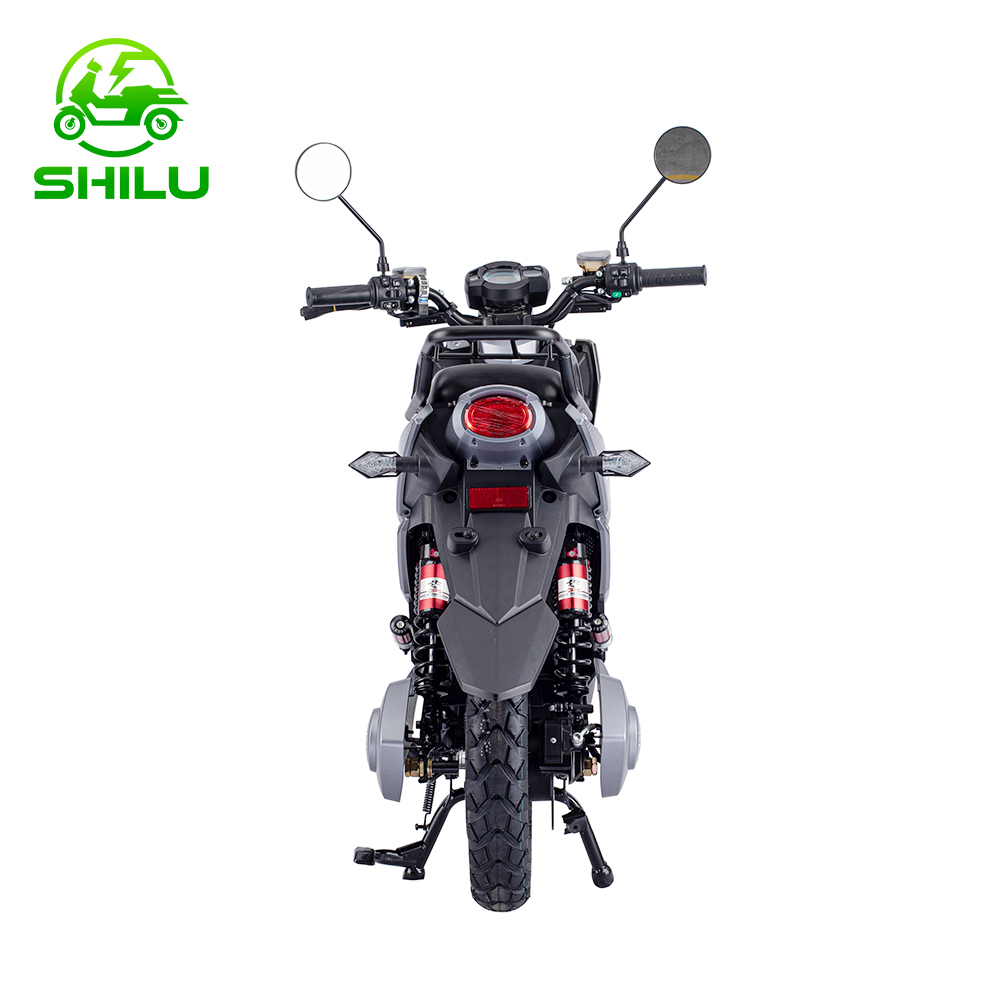 SHILU-TTX3 electric scooter China