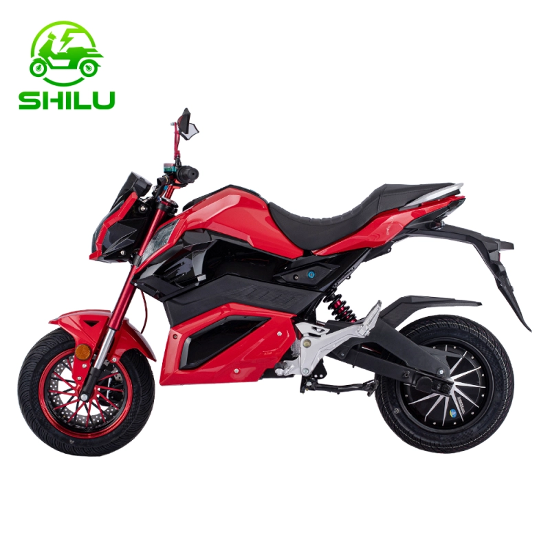 SHILU-Z6 electric motorcycle