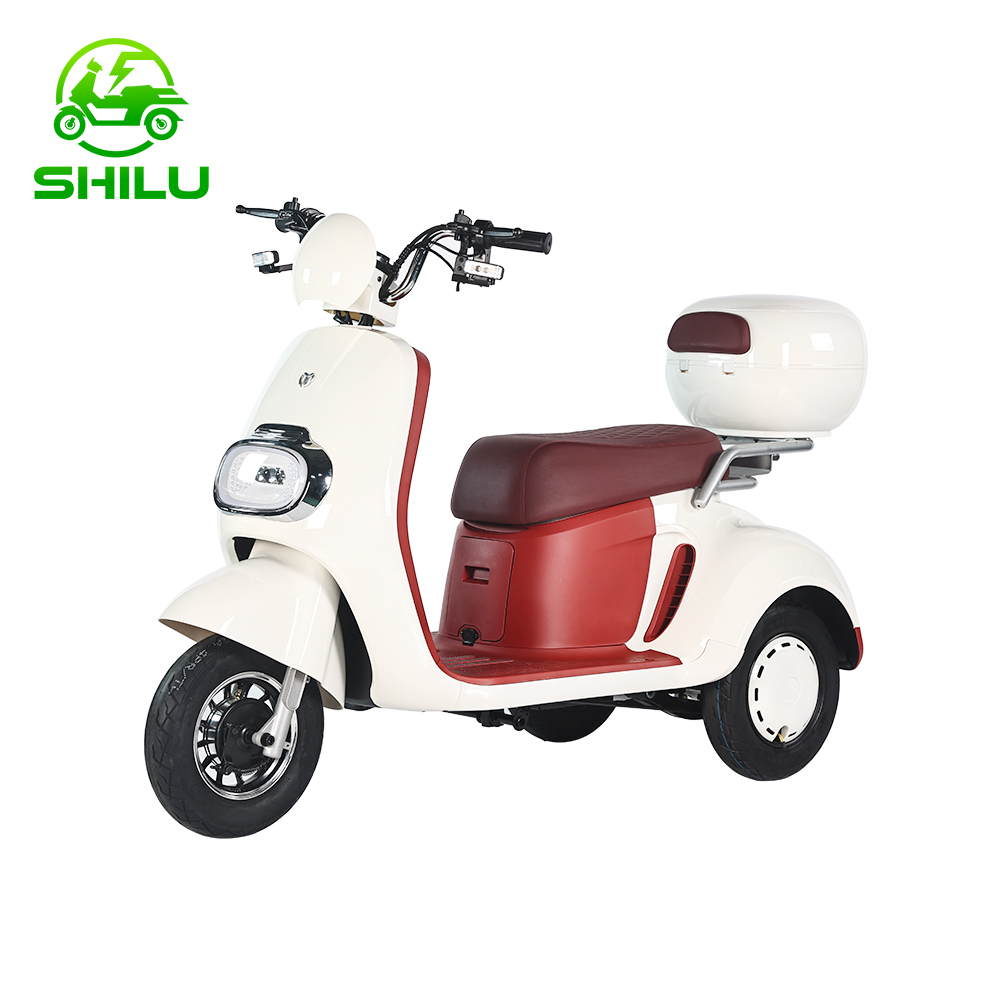 M6 electric tricycle