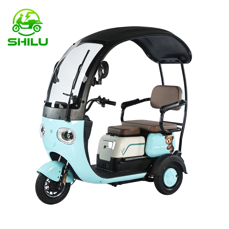 XMS WUXI SHILU adult electric tricycle