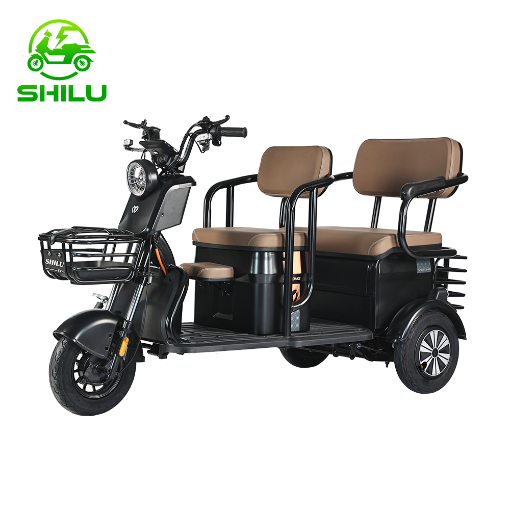 C6 Electric tricycle