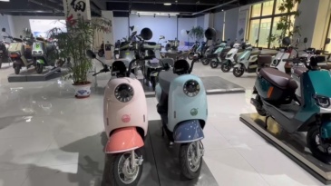 JG 800W electric scooter