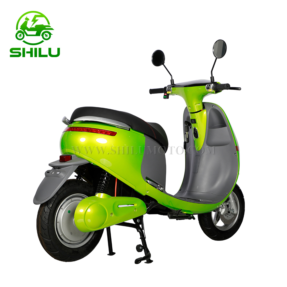 Gogo Eco-friendly electric scooter moped