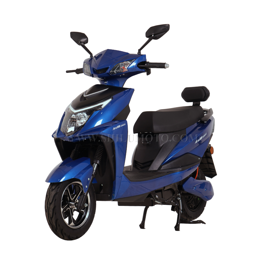 ZS Wholesale Electrical Bike