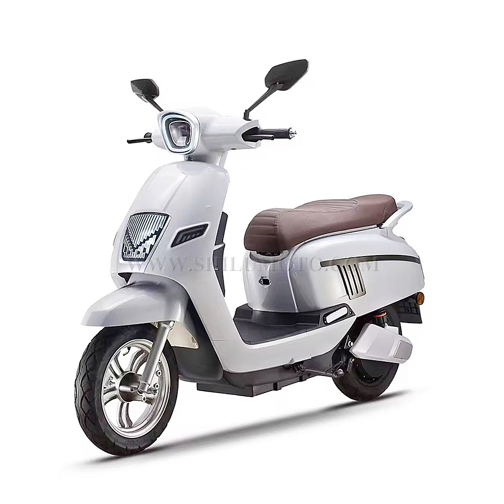 NS Electric Scooter