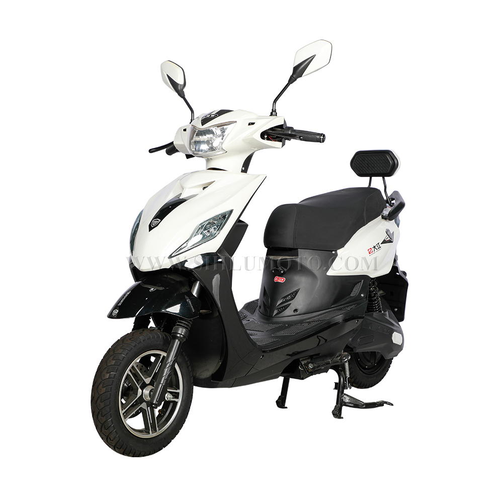 MS electric motorcycle adult citycoco 2000w