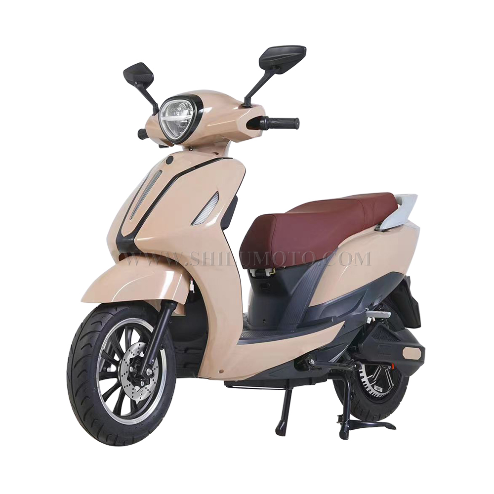 CS3 Electric Scooter
