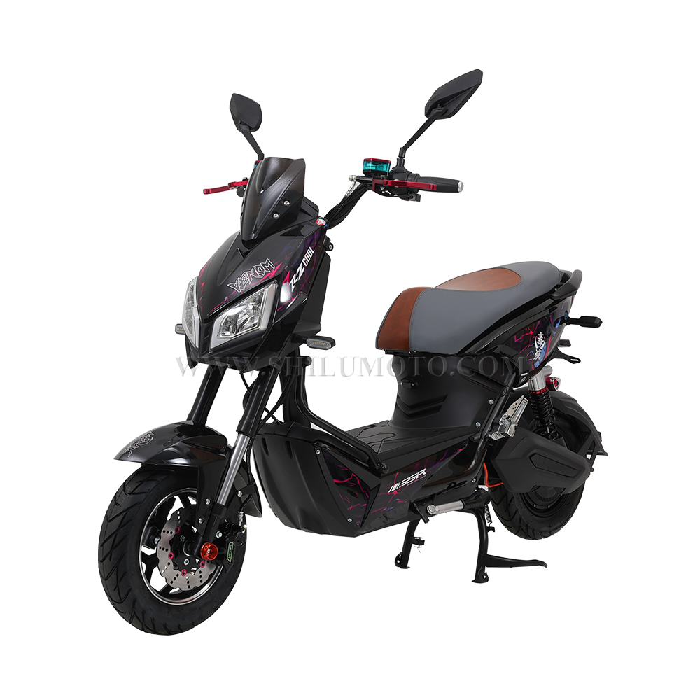ZJ Electric Moped For Adults