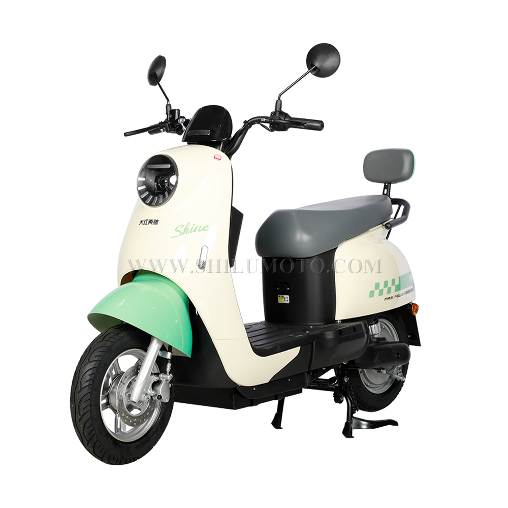JG 800W electric scooter
