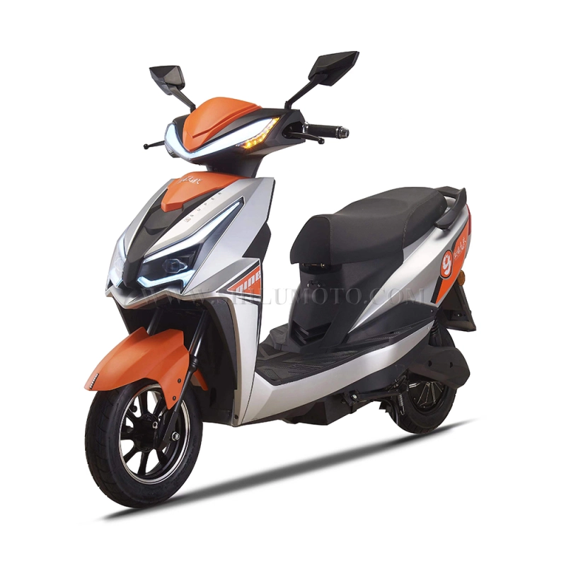 ZL9 electric scooter bike