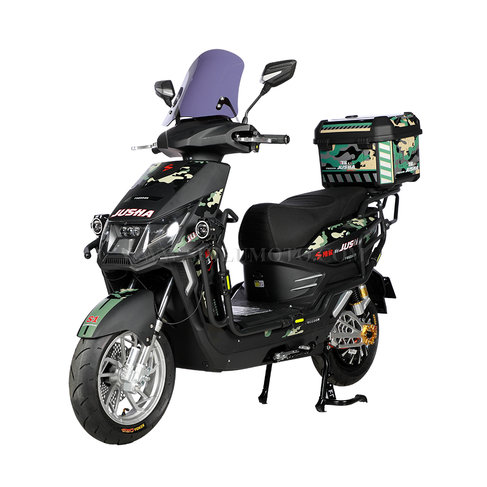 S1 China Wholesale Electric Bike