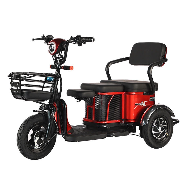 LX Tricycle Electric Bikes