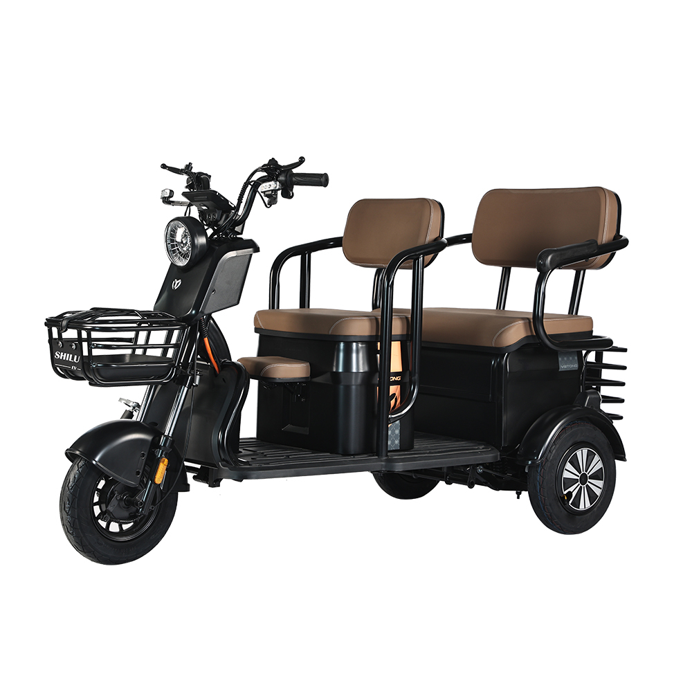 C6 Electric tricycle
