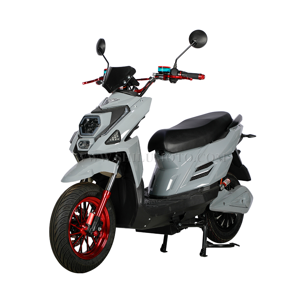 TTX02 electric scooter China