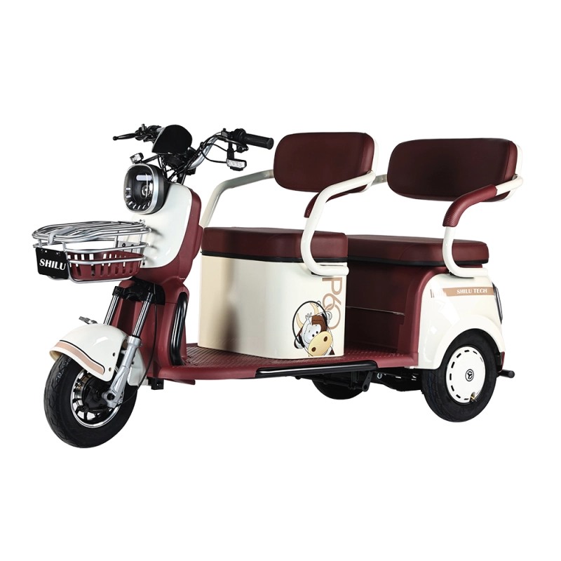 HY  China electric tricycle