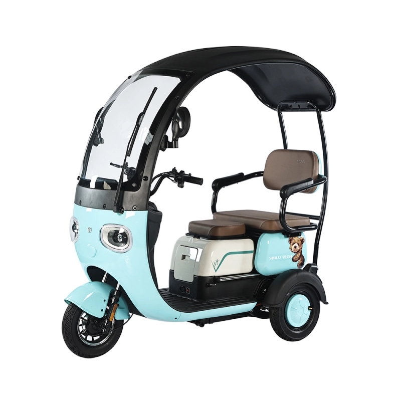 XMS WUXI SHILU adult electric tricycle