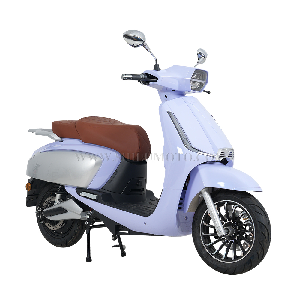 Electric motorcycle