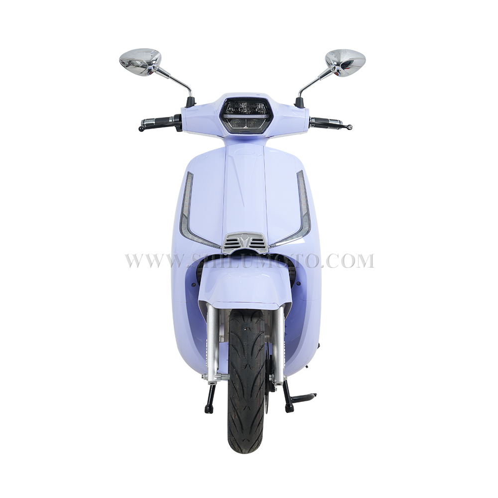 Electric motorcycle