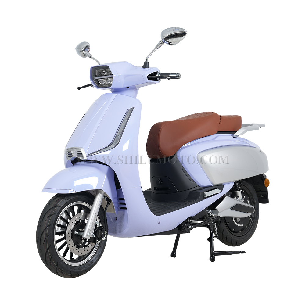 Electric motorcycle