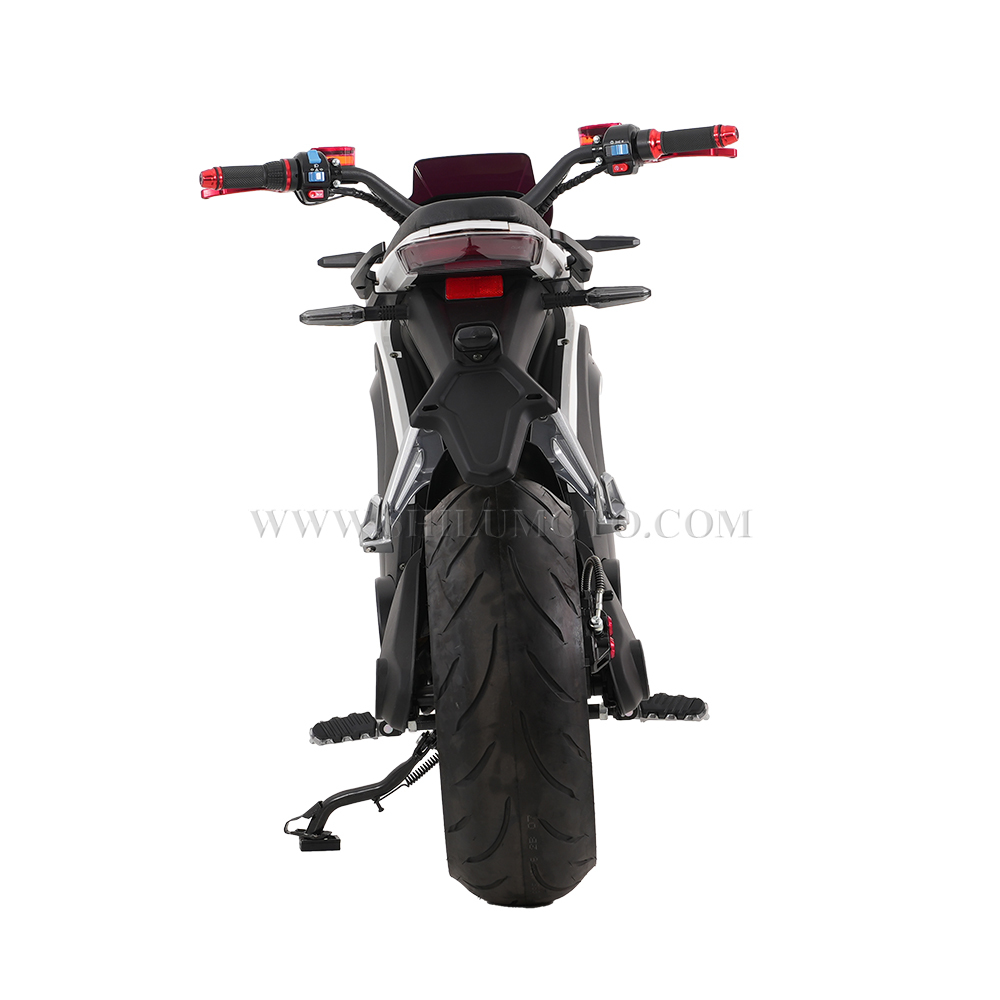 E5 3000w electric motorcycle for adults