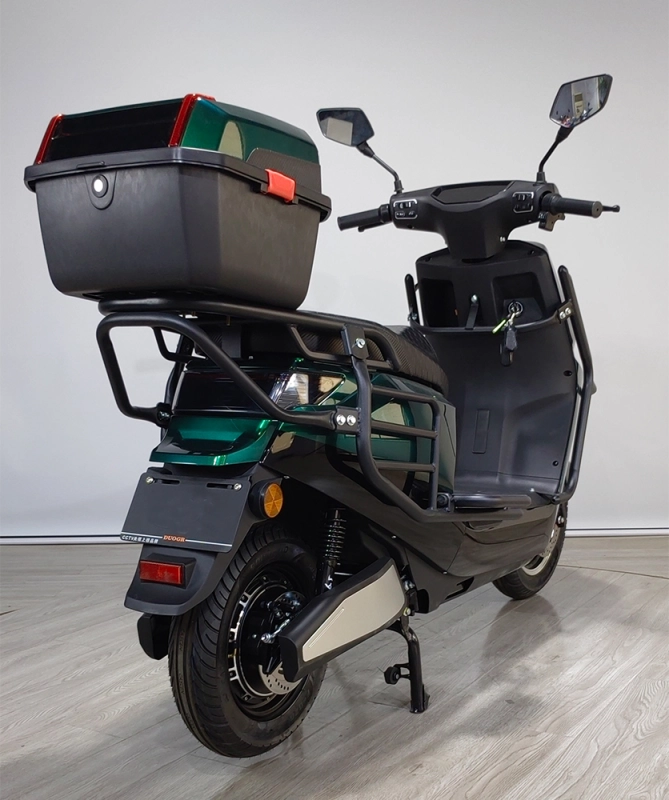 JXS electric motorcycle for adults