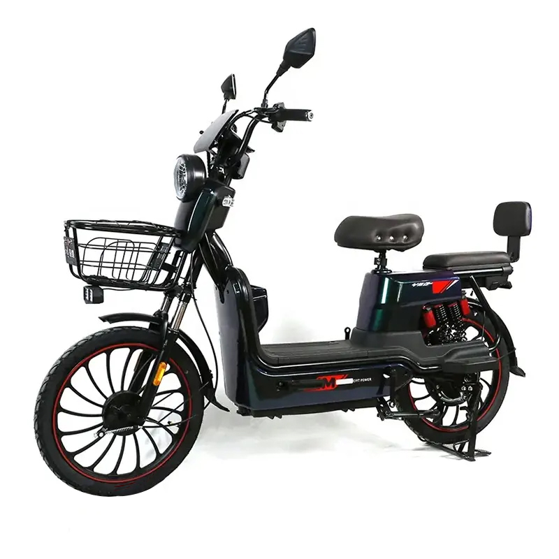 C20  Electric BIKE