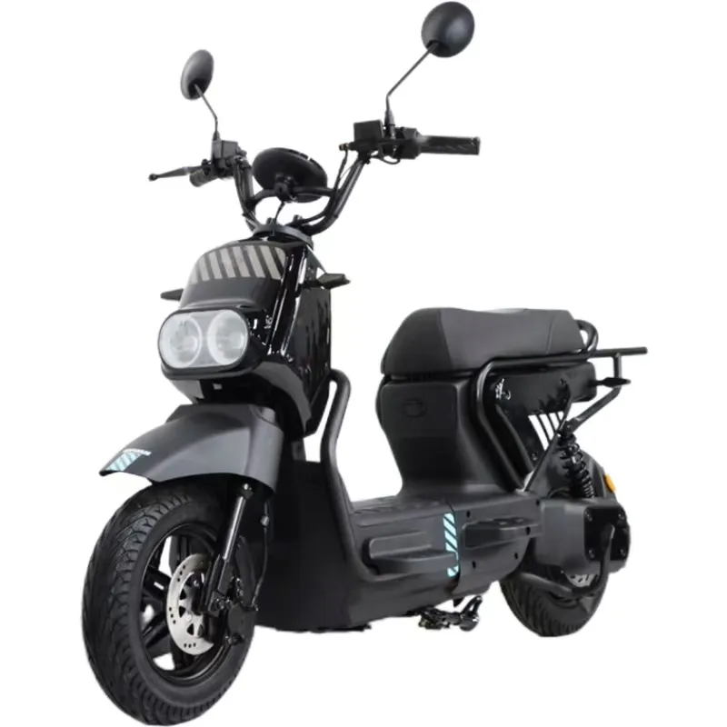 ZM 2 Wheel Electric Moped