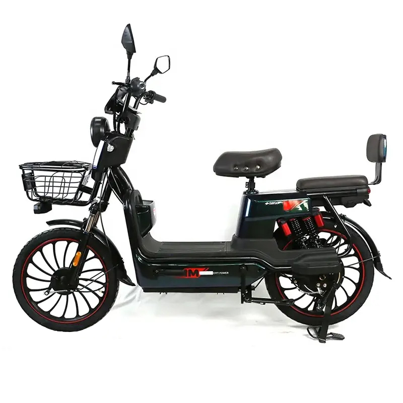 C20  Electric BIKE