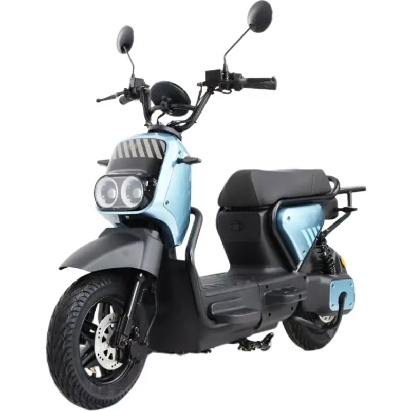 ZM 2 Wheel Electric Moped