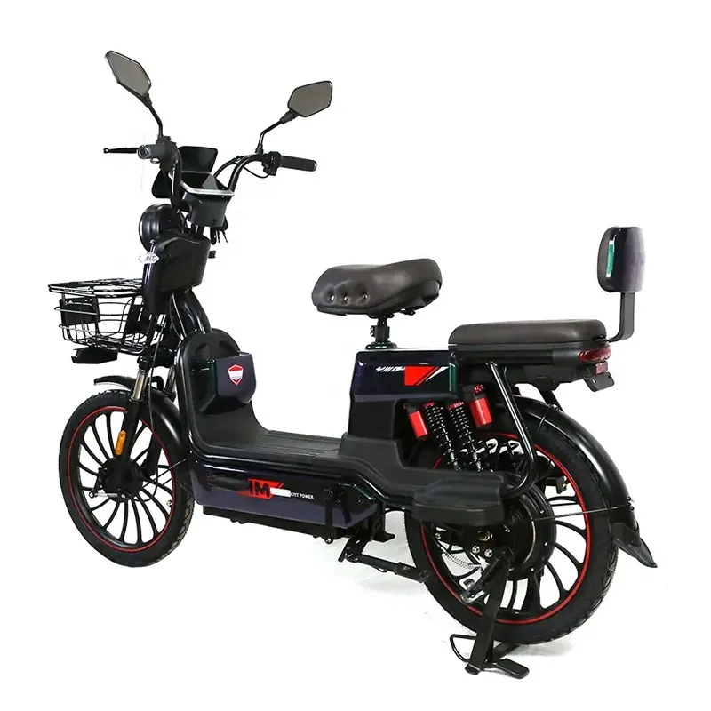 C20  Electric BIKE