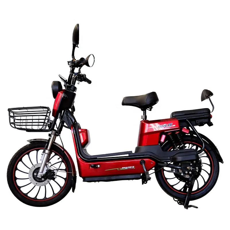 C20  Electric BIKE
