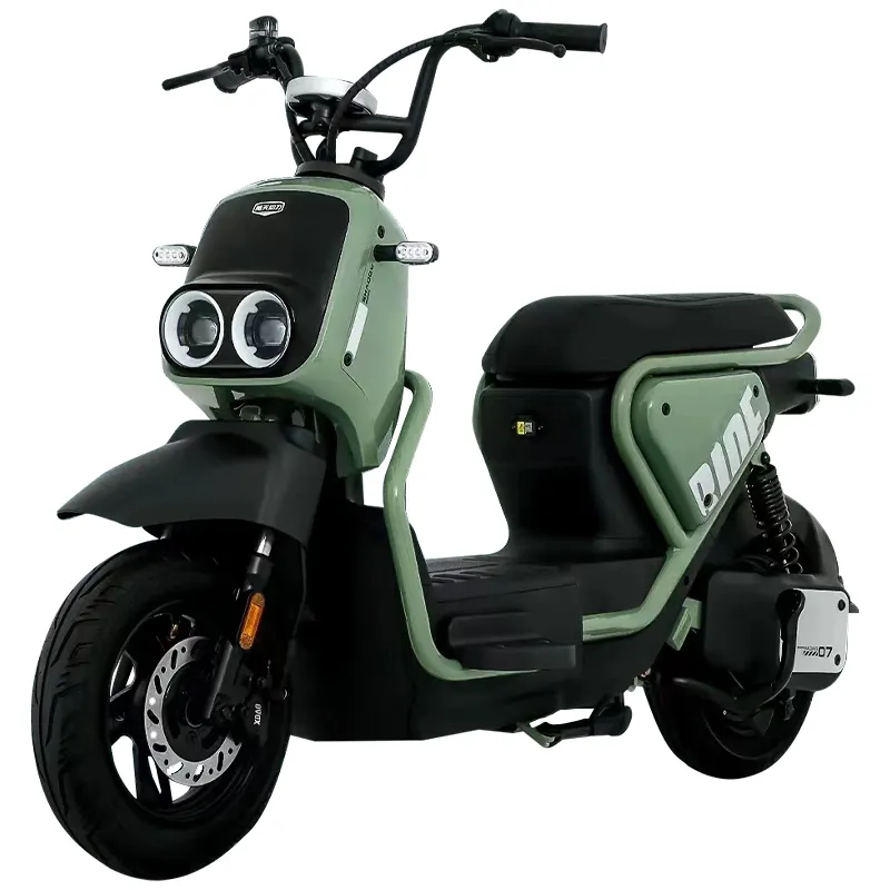 ZM 2 Wheel Electric Moped