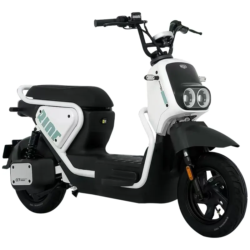 ZM 2 Wheel Electric Moped