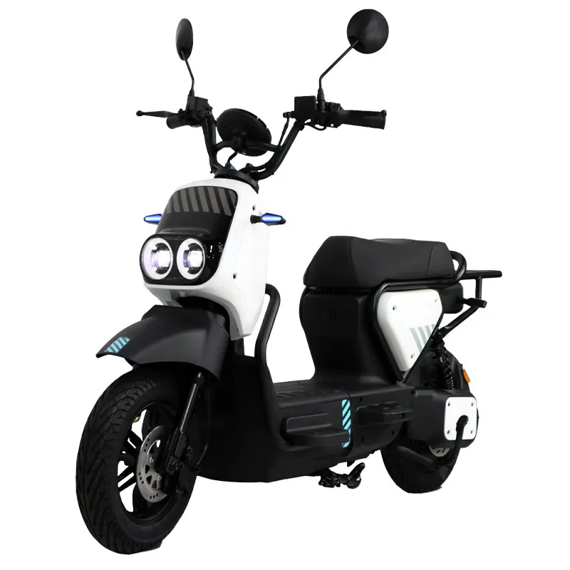 ZM 2 Wheel Electric Moped