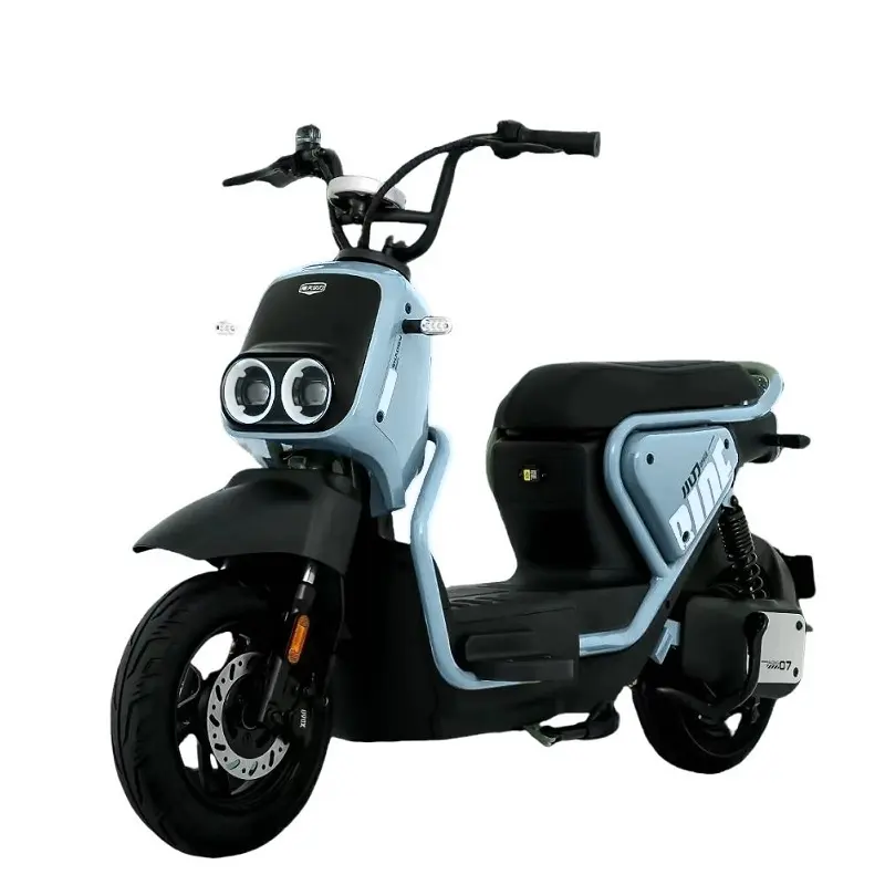 ZM 2 Wheel Electric Moped