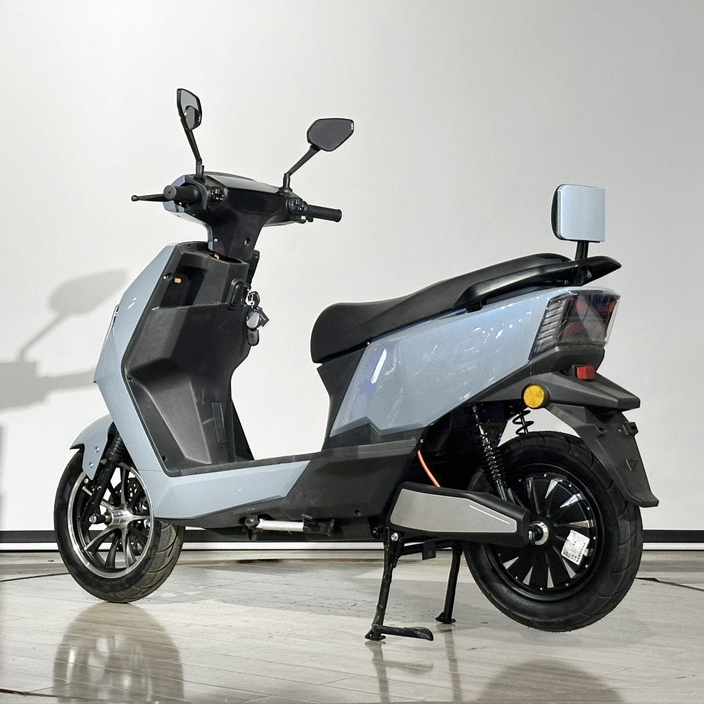 H9-02 12inch electric scooter