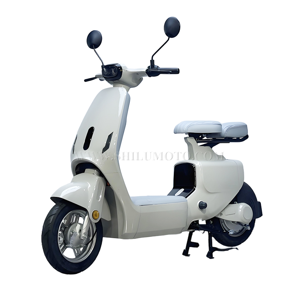 W1 New Electric Scooter