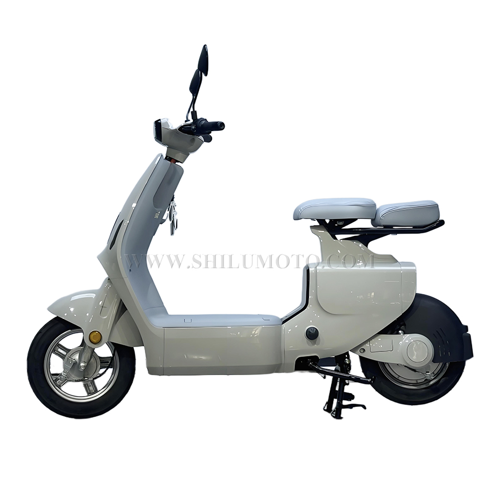 W1 New Electric Scooter
