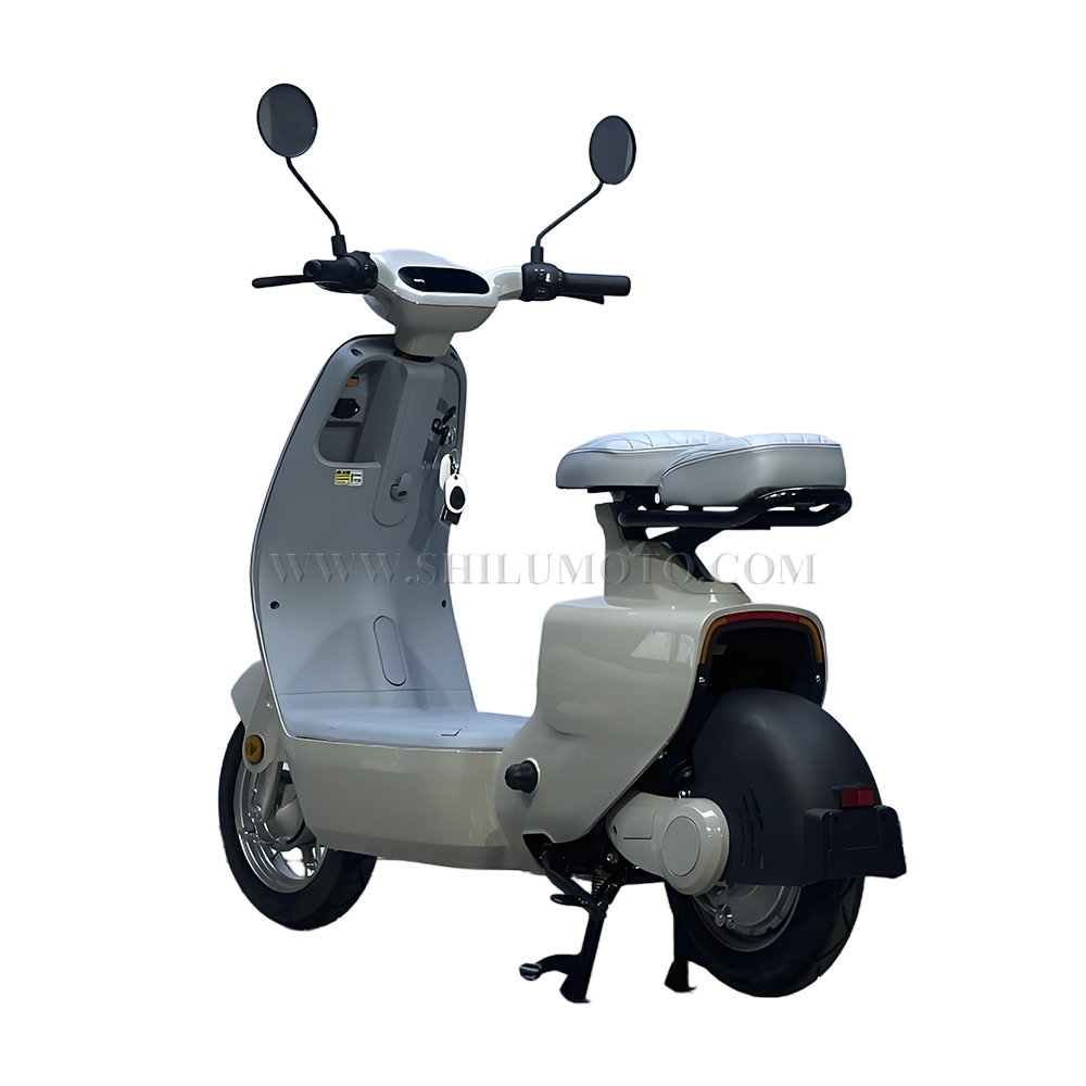 W1 New Electric Scooter