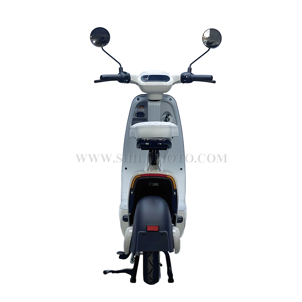 W1 New Electric Scooter