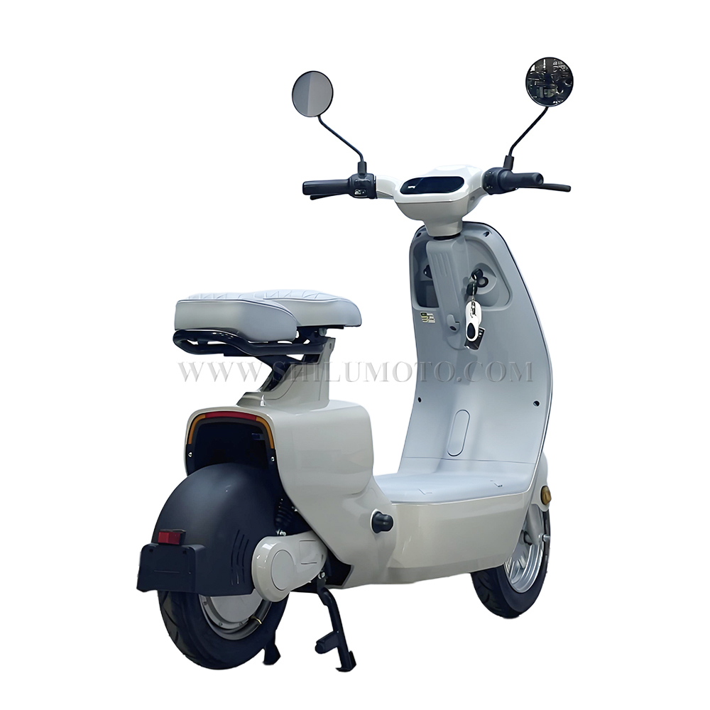W1 New Electric Scooter