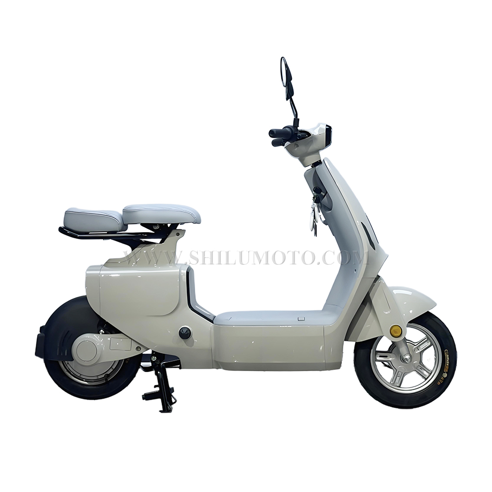 W1 New Electric Scooter
