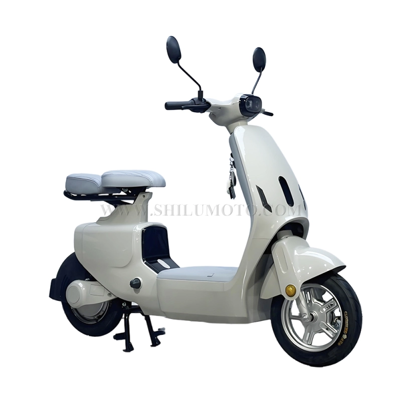 W1 New Electric Scooter