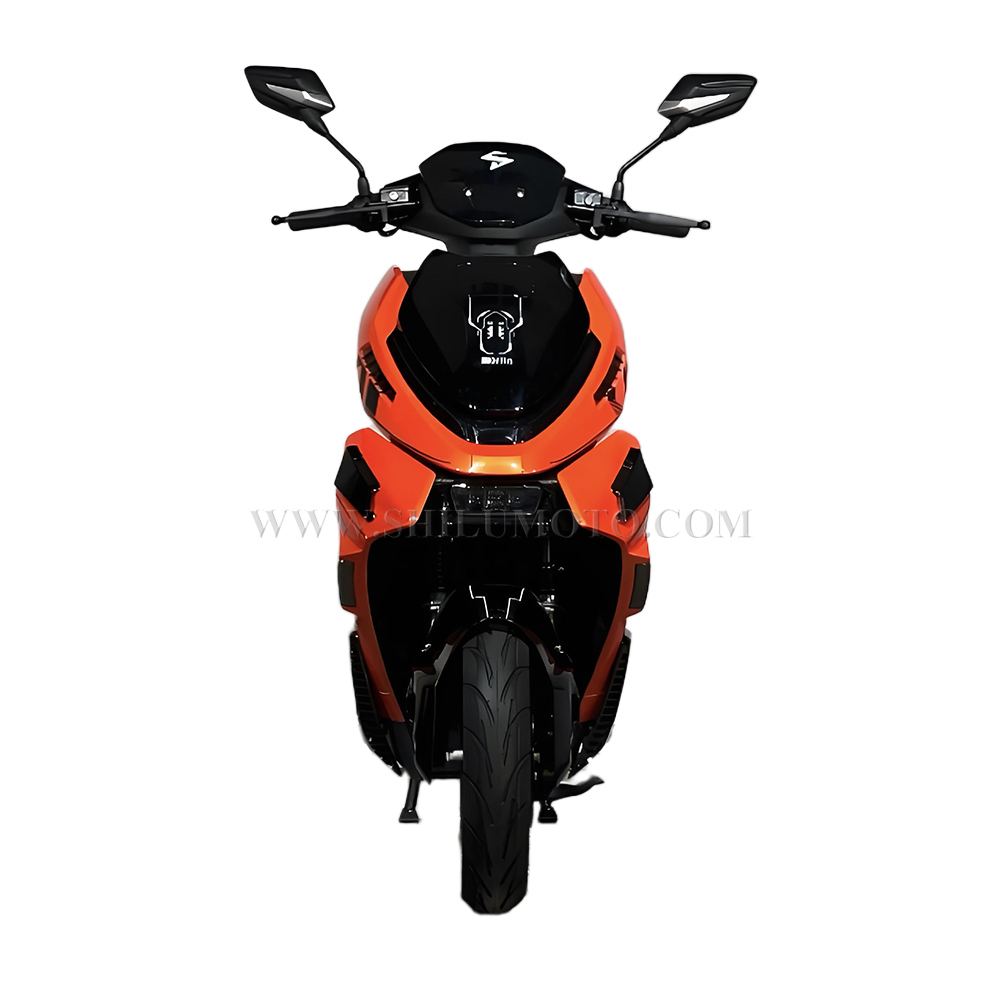 F1 Cool Design Electric Scooter