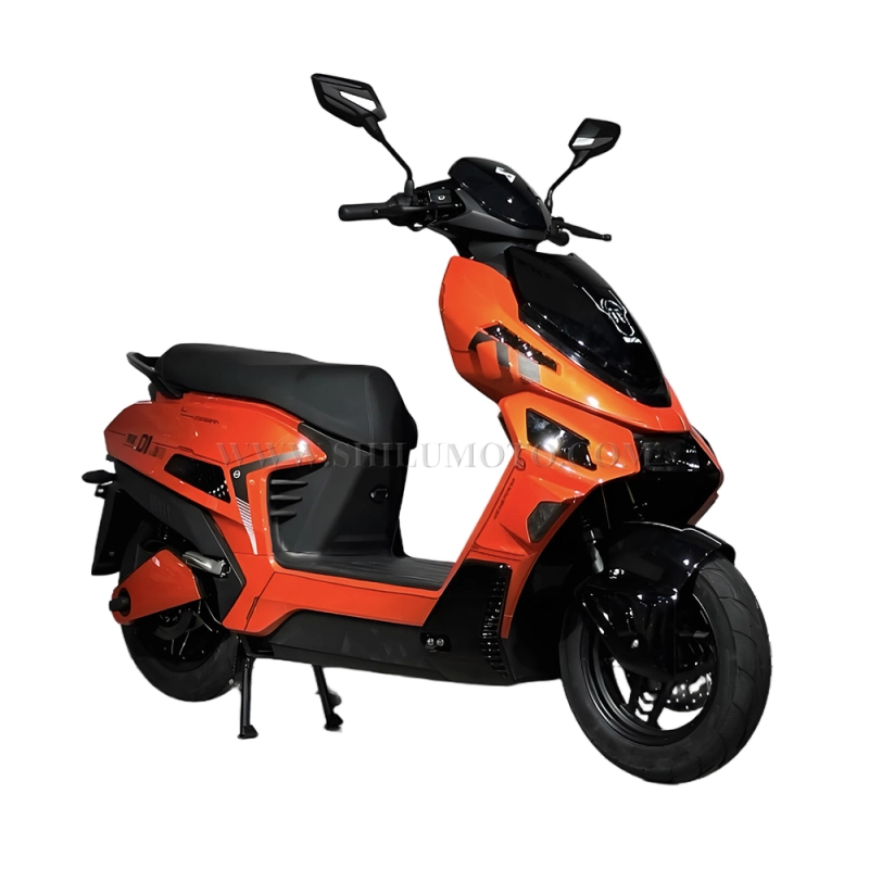 F1 Cool Design Electric Scooter