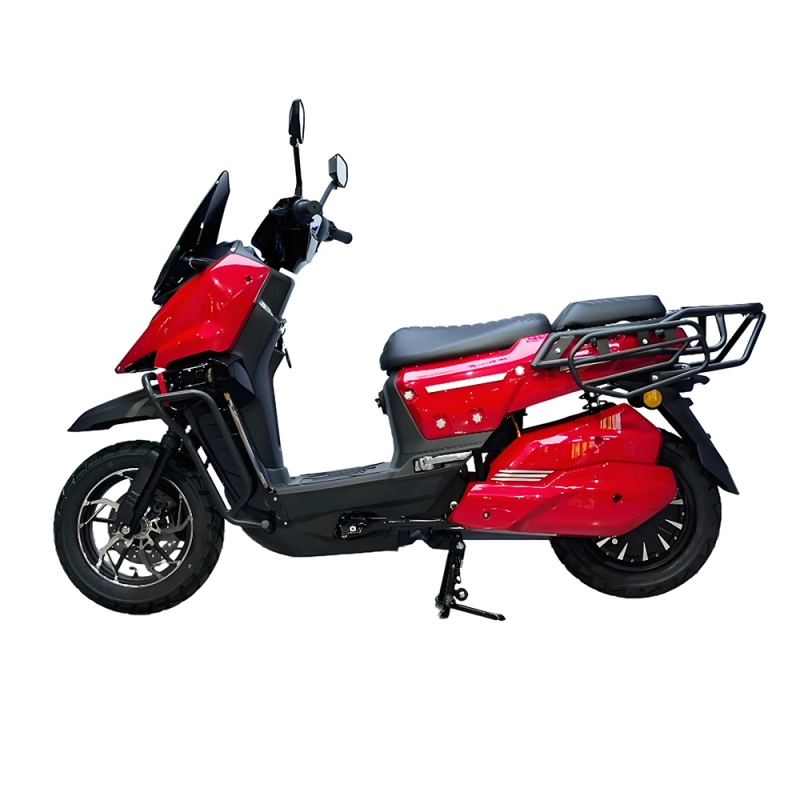 WS High Speed Electric Motorcycle
